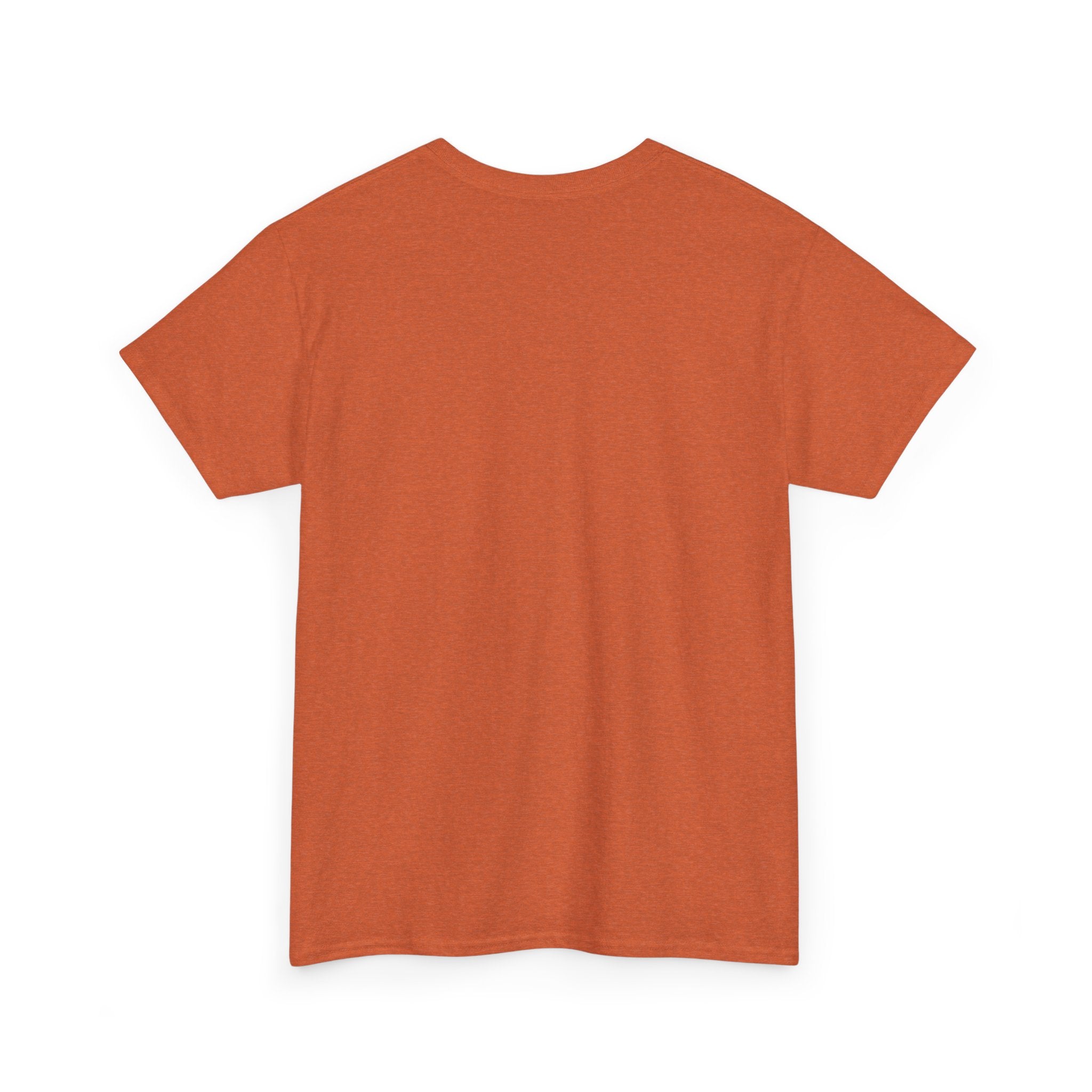 Hot Flash. Vintage-Inspired Graphic Cotton T-Shirt