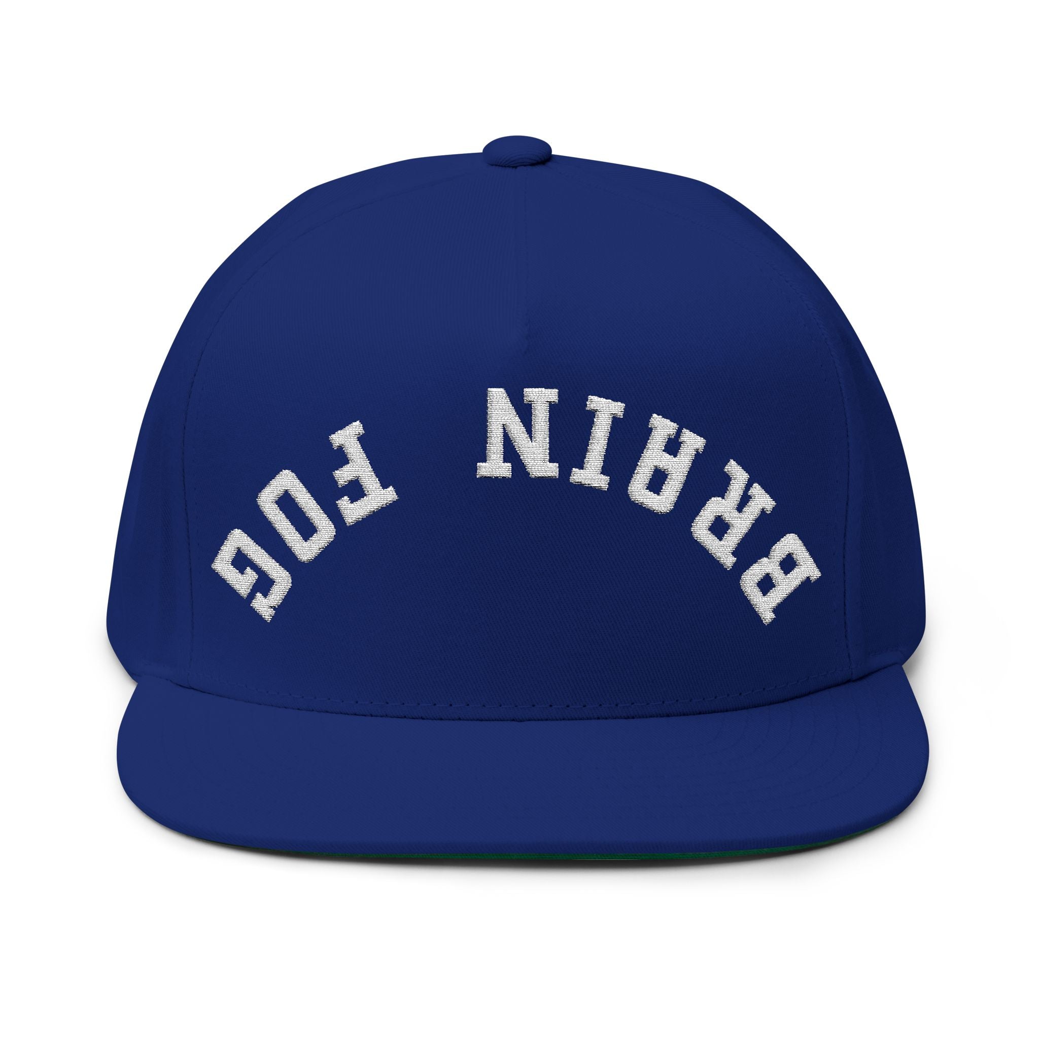 Flat Bill Cap — Brain Fog Upside-Down Embroidered Vintage Arch Snapback