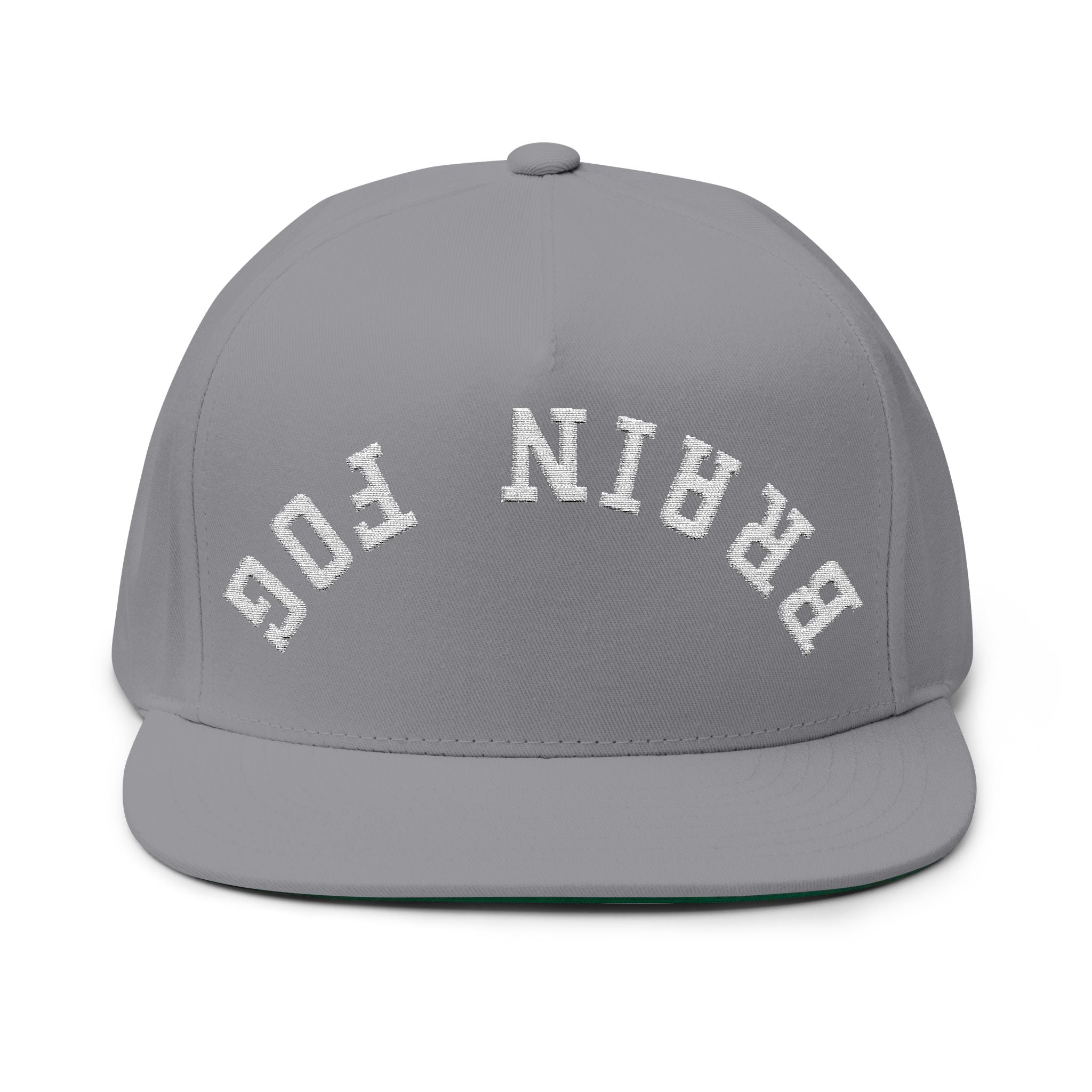 Flat Bill Cap — Brain Fog Upside-Down Embroidered Vintage Arch Snapback