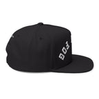 Flat Bill Cap — Brain Fog Upside-Down Embroidered Vintage Arch Snapback