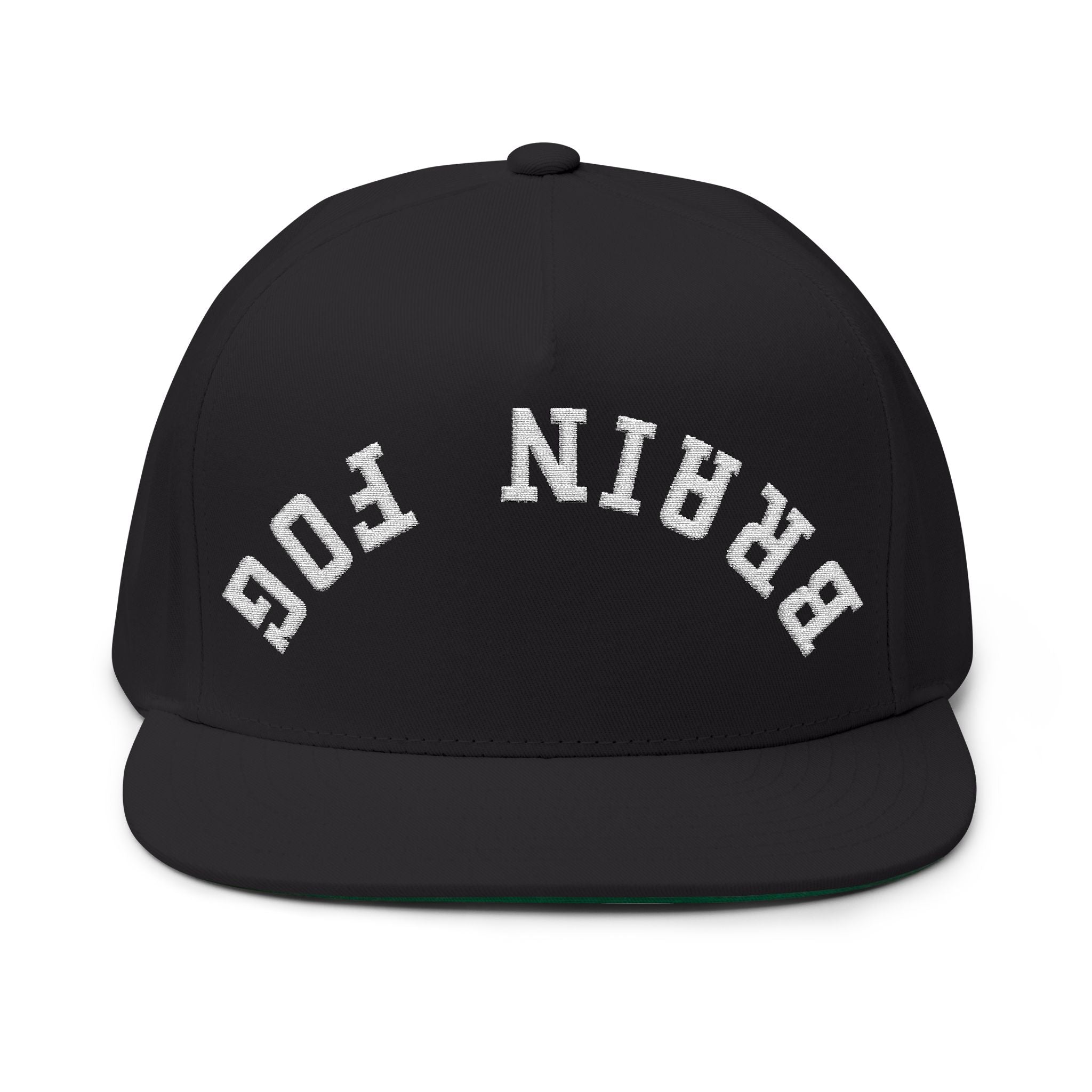 Flat Bill Cap — Brain Fog Upside-Down Embroidered Vintage Arch Snapback
