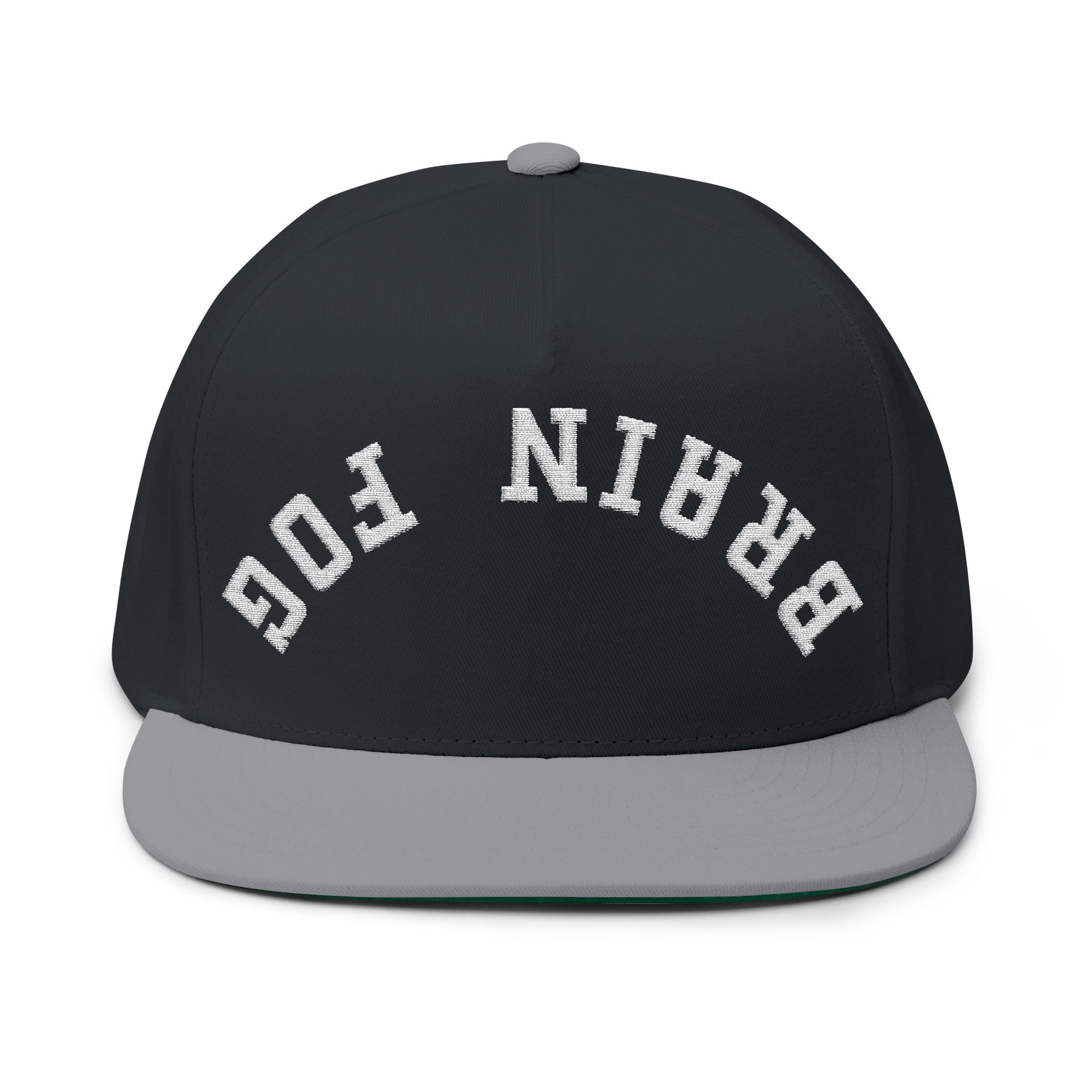Flat Bill Cap — Brain Fog Upside-Down Embroidered Vintage Arch Snapback