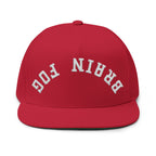 Flat Bill Cap — Brain Fog Upside-Down Embroidered Vintage Arch Snapback