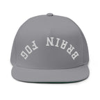 Flat Bill Cap — Brain Fog Upside-Down Embroidered Vintage Arch Snapback