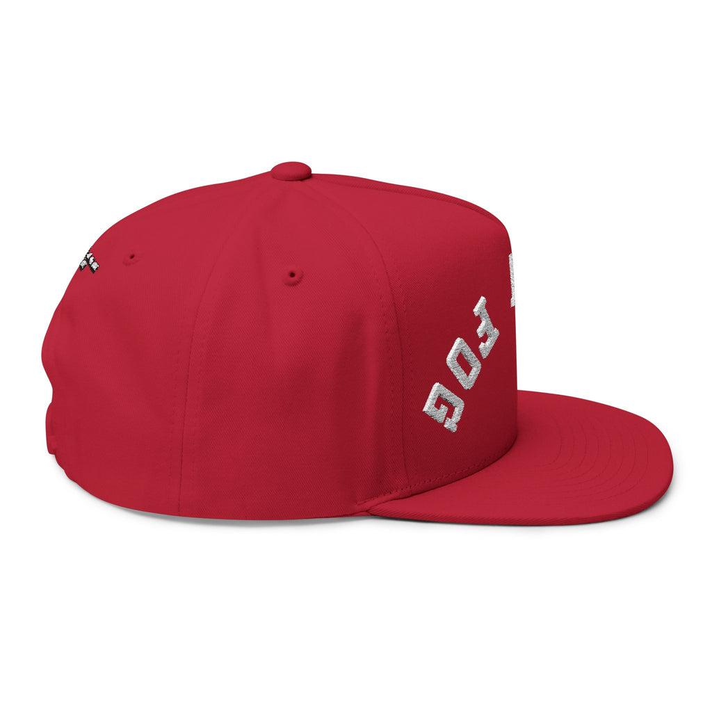 Flat Bill Cap — Brain Fog Upside-Down Embroidered Vintage Arch Snapback