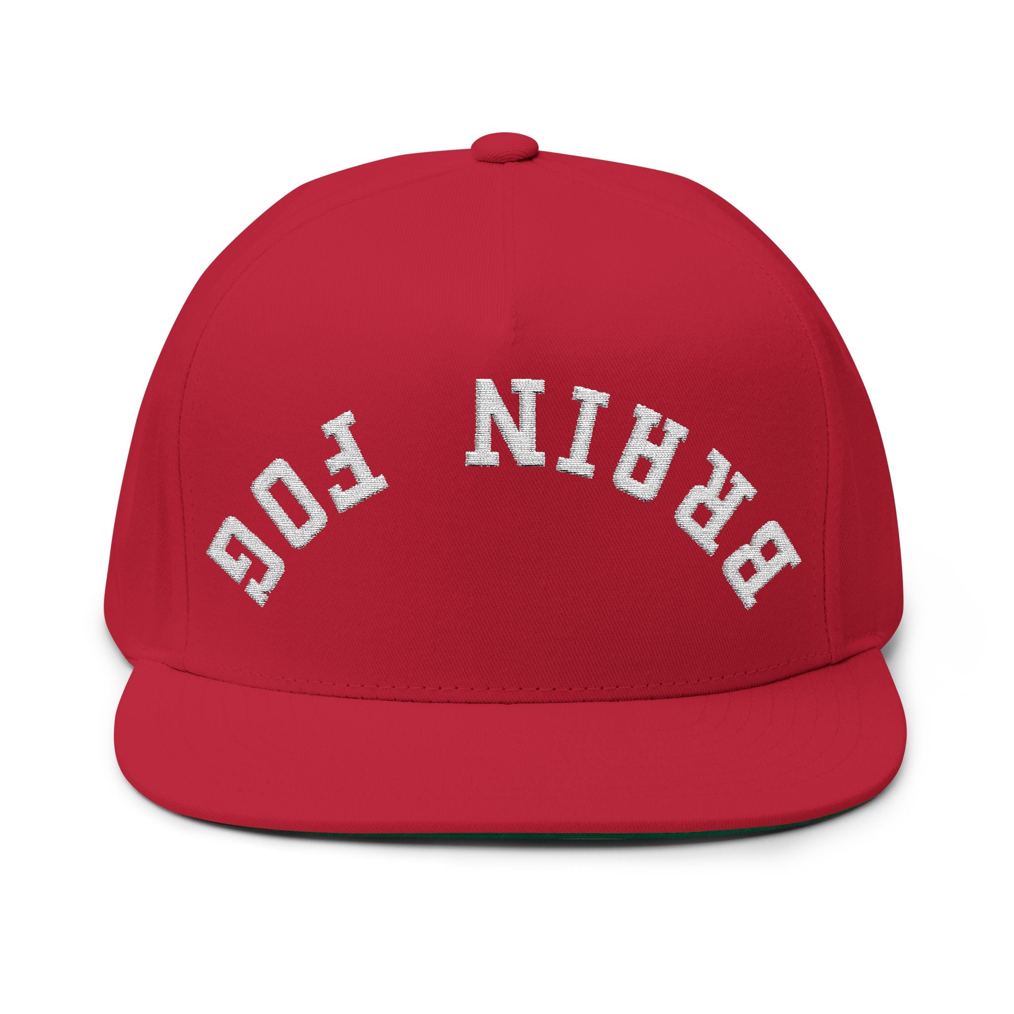 Flat Bill Cap — Brain Fog Upside-Down Embroidered Vintage Arch Snapback